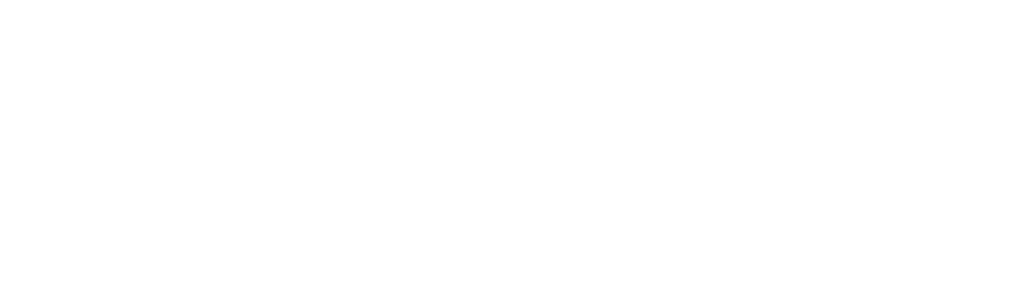 B. Braun